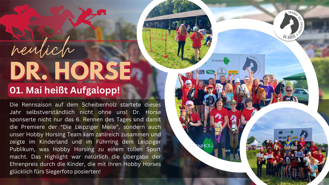 Aufgalopp 2024